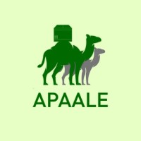 Apaale logo - Similar company to Vm Nebula