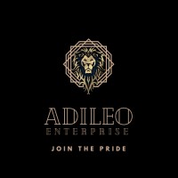 Adileo Enterprise Inc. logo - Similar company to Coensus Business Research And Consulting