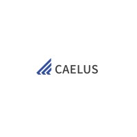 Caelus Human Talent Advisors logo - Similar company to Rexr Llc