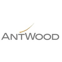 Antwood Advies logo - Similar company to Dijckerhoek