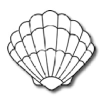 Schell Plastics LLC logo - Similar company to Bes Packaging Corp.