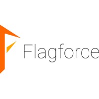 Flagforce logo - Similar company to Exsin