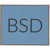 BSD logo - Similar company to D R Infra