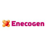 Enecogen logo - Similar company to Nl-Techniek