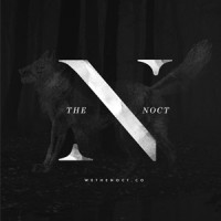 The Noct logo - Similar company to Pelican Telecom