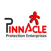 Pinnacle Protection Enterprises logo - Similar company to Cx Interglobal Group