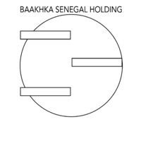 BAAKHKA SENEGAL HOLDING logo - Similar company to Regep