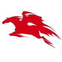 BelaPAN logo - Similar company to Constanza Group