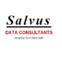 Salvus Data Consultants, L.L.C.