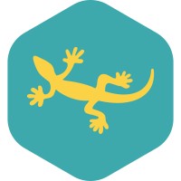 Yellow Lizard Media - Video Production logo - Similar company to Tailored Media - Video Production