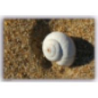 HolidayinKatwijk