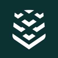 Swarmer logo - Similar company to Vidar Systems