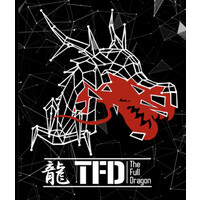 TFD CONSULTING GROUP logo - Similar company to Tfd
