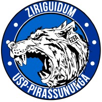 Bateria Universitária Ziriguidum USP/FZEA logo - Similar company to Bateria S/A