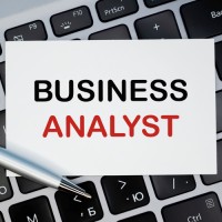 Global Business analyst logo - Similar company to Business Analyst Lab