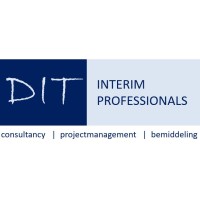 Dit Interim Professionals