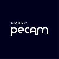 Grupo PECAM logo - Similar company to Milicic Sa