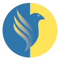 Falcon Informatics logo - Similar company to Cevat Solutions