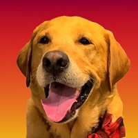 Whiskeybearthelab logo - Similar company to Billight