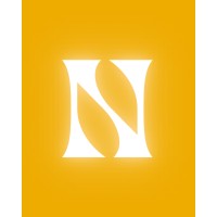 N Marketing E Design