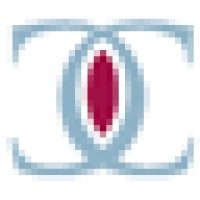 Confidence-Advisory GmbH logo - Similar company to Squared Circle