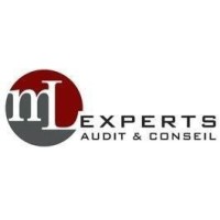 ML EXPERTS logo - Similar company to Foster Groupe