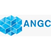 ANGC- Associação Nacional dos Gestores de Contratos logo - Similar company to Angc Oficial