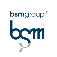 BSM Shipping Group logo - Similar company to Oceane Group