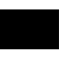 Plasmont International Inc logo - Similar company to Direction Générale Du Budget