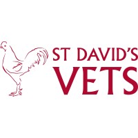 St David's Careers logo - Similar company to David Careers