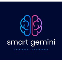 Smart Gemini logo - Similar company to Ebw3Nt