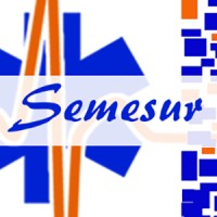 Semesur logo - Similar company to Semesur Assistance