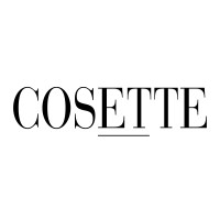 COSETTE logo - Similar company to Ccdev Solutions