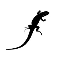 Free Range Space logo - Similar company to Rivala