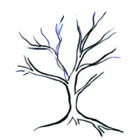 Random Forest Capital logo - Similar company to Jaspy