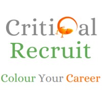Critical Recruit logo - Similar company to Tj Talent Solutions