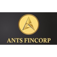 ANTS FinCorp logo - Similar company to Aks Homes