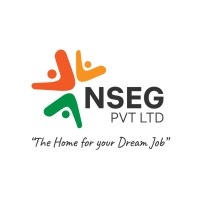 NSEG Pvt. Ltd. logo - Similar company to Solar Secure