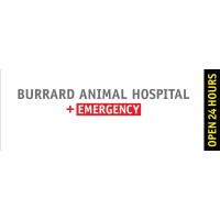 Burrard Animal Hospital logo - Similar company to Rise Up Business Coaching