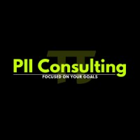 PII Consulting logo - Similar company to Quae Solutions