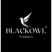 Blackowl Traders logo - Similar company to Blackowl Live