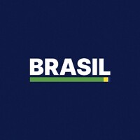 Government of Brazil logo - Similar company to Ozzonn Group Llc  / Gmbh .