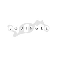 Squingle Studios logo - Similar company to Emdoorxr