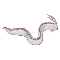 OARFISH MANAGEMENT logo - Similar company to Groeiversneller