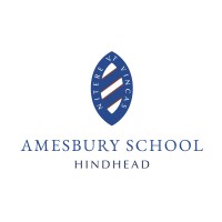 Amesbury School logo - Similar company to Elmdale Care