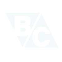 Bridge consulting TN logo - Similar company to Vision Concurrence Inc.