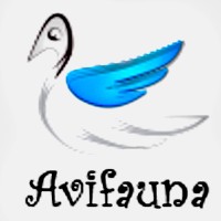 Avifauna Luxury Apartment logo - Similar company to Sf6 Recycling Gmbh