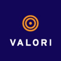 Valori logo - Similar company to Ilionx