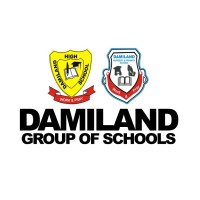 Damiland Group of Schools logo - Similar company to Distillpreper