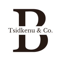 B. Tsidkenu & Co. logo - Similar company to Org Ai